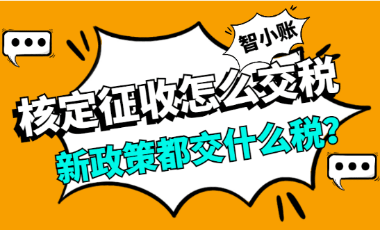 核定征收怎么交税？2025新政策都交什么税？