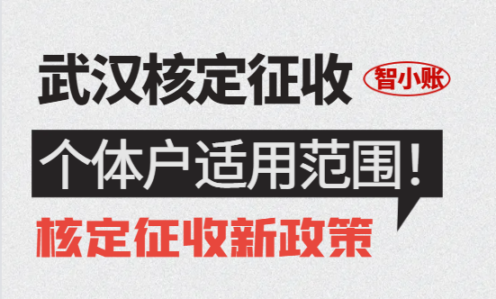 武汉核定征收的个体户适用范围是什么？