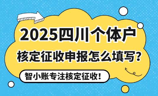 2025四川个体户核定征收申报怎么填写？