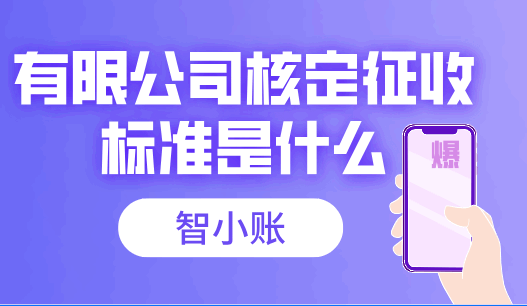 有限公司核定征收标准是什么？