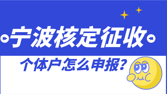 宁波核定征收个体户怎么申报？