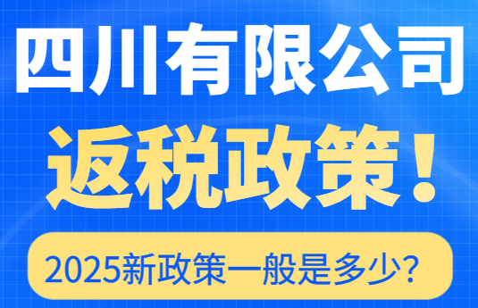 四川有限公司返税政策一般是多少？