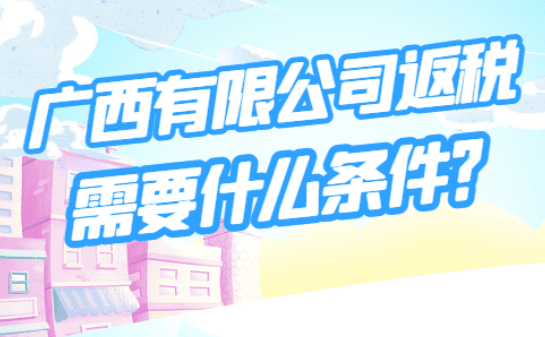 广西有限公司返税政策需要什么条件？