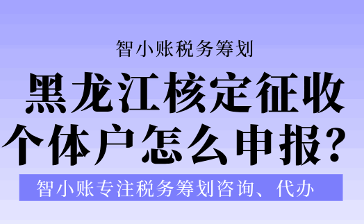 黑龙江核定征收个体户怎么申报？