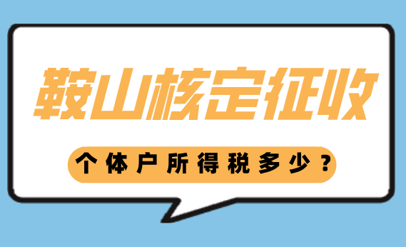 鞍山核定征收个体户所得税是多少？