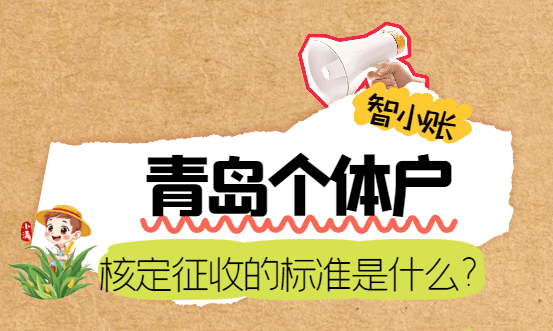 青岛个体户核定征收的标准是什么？
