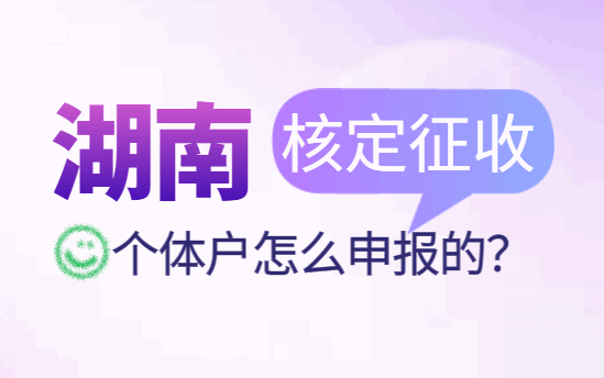 湖南核定征收个体户怎么申报的？