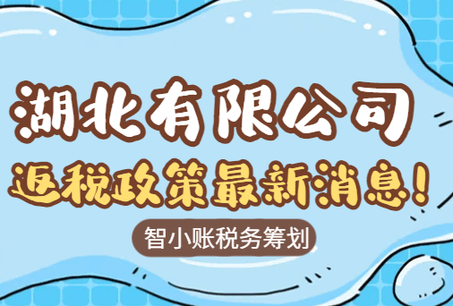 湖北有限公司返税政策最新消息！