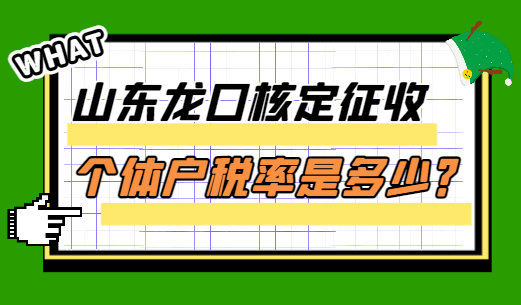 山东龙口核定征收个体户税率是多少？
