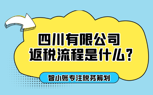 四川有限公司返税流程是什么？