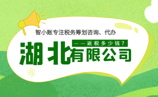 湖北有限公司返税多少钱？