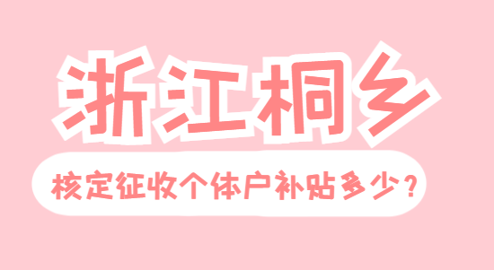 浙江桐乡核定征收个体户补贴多少？