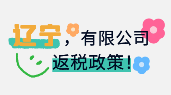 辽宁有限公司返税政策！