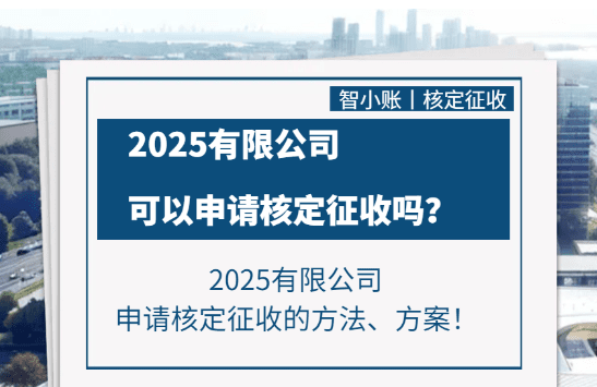 有限责任公司可以核定征收吗？直接申请和税务筹划合规享受两种方案！