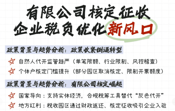 有限责任公司可以核定征收吗？直接申请和税务筹划合规享受两种方案！