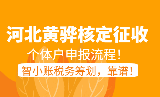河北黄骅核定征收个体户申报流程！