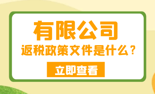 有限公司返税政策文件是什么？