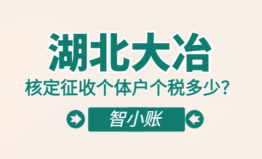 湖北大冶核定征收个体户个税多少？