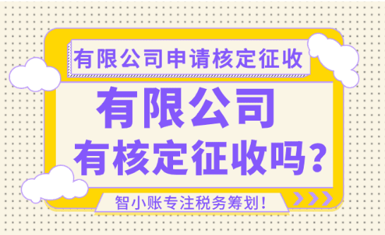 有限公司有核定征收吗？怎么申请享受核定征收！