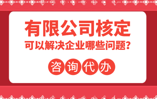 有限公司核定可以解决企业哪些问题？
