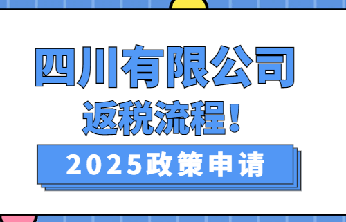 四川有限公司返税流程！