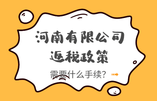 河南有限公司返税政策需要什么手续？