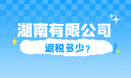 湖南有限公司返税多少？