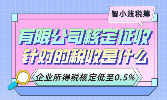 有限公司核定征收针对的税种是什么？