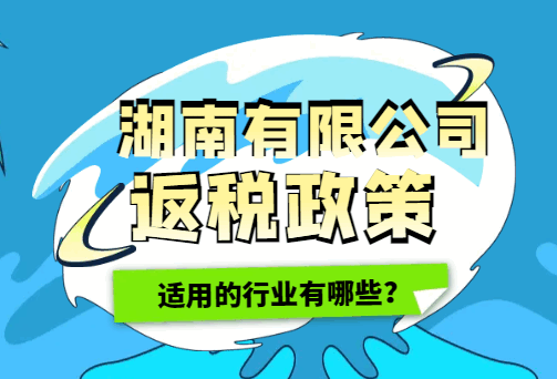 湖南有限公司返税政策适用的行业有哪些？
