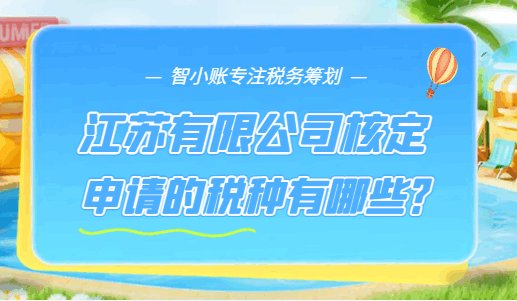 江苏有限公司核定申请的税种有哪些？