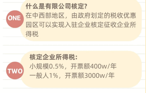 江苏有限公司核定申请的税种有哪些？