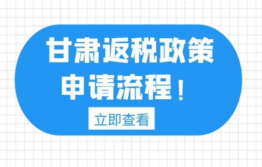甘肃返税政策申请流程是什么？