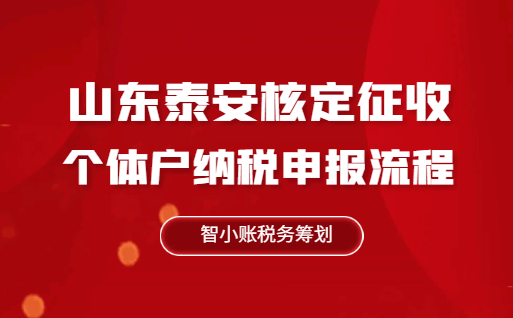 山东泰安核定征收个体户纳税申报流程！
