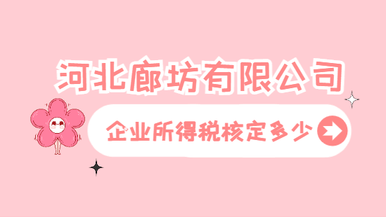 河北廊坊有限公司企业所得税核定多少？