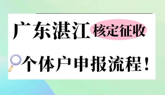 广东湛江核定征收个体户申报流程！