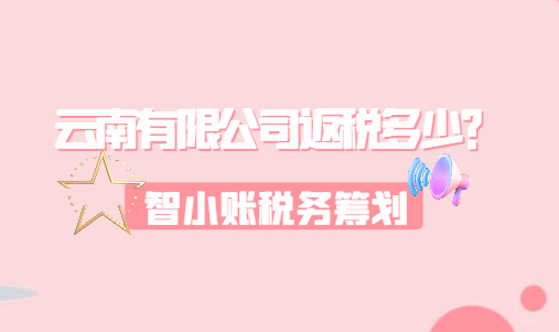 云南有限公司返税多少？