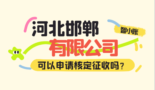河北邯郸有限公司可以申请核定征收吗？