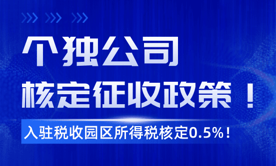 个独公司核定征收政策！