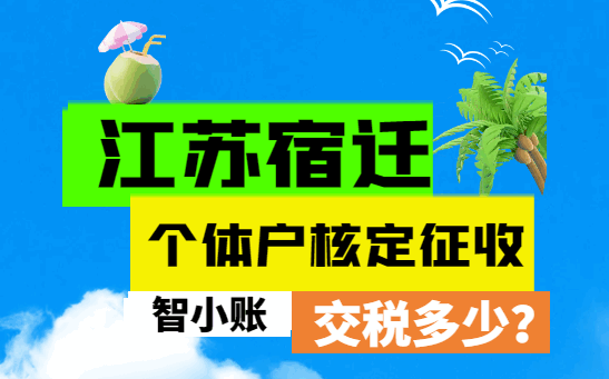 江苏宿迁个体户核定征收交税多少？