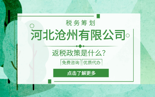 河北沧州有限公司返税政策是什么？