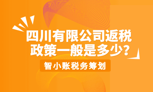 四川有限公司返税政策一般是多少？