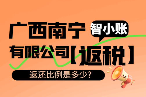 广西南宁有限公司返税返还比例是多少？