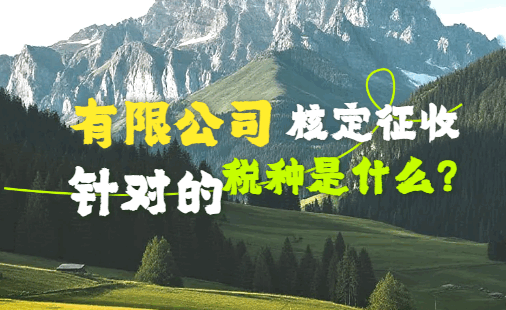 有限公司核定征收针对的税种是什么？