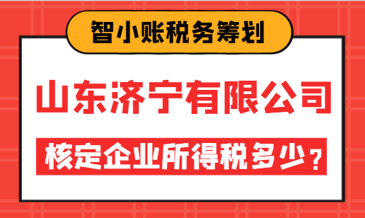 山东济宁有限公司核定企业所得税多少？