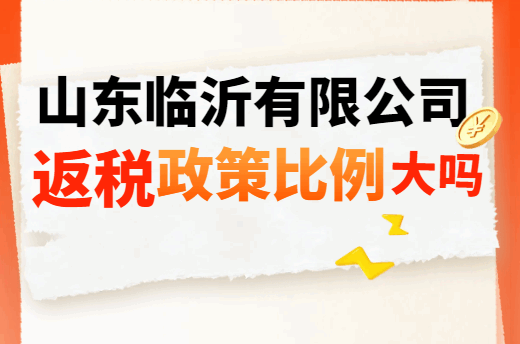 山东临沂有限公司返税政策比例大吗？