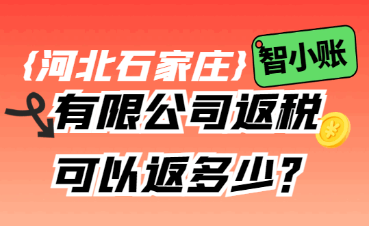 河北石家庄有限公司返税可以返多少？