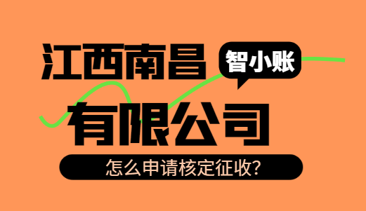 江西南昌有限公司怎么申请核定征收？