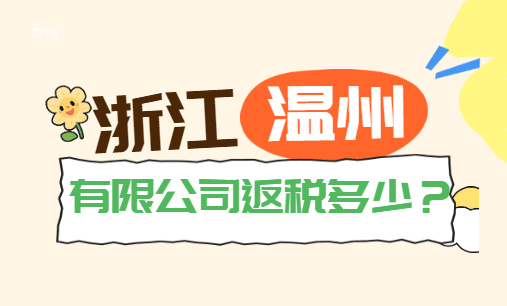 浙江温州有限公司返税多少？