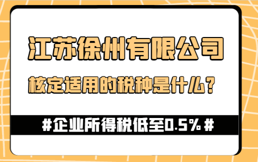 江苏徐州有限公司核定适用的税种是什么？