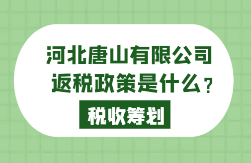 河北唐山有限公司返税政策是什么？